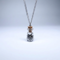 Āgāya Rasam meteorite vial pendant on silver chain, studio shot